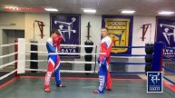 What is SAVATE BOXING № 5