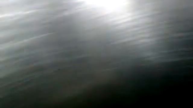 ДВС 2.0 EL (MGDA) без навес Focus 3 (ОАЭ К18, №29, +ТНВД)