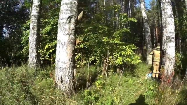 ПРОГУЛКА ПО РЕКЕ ЛУГАКОП ГРИБЫ!!!