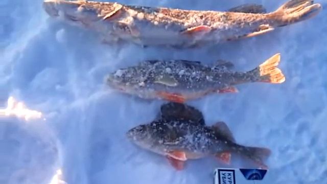 Рыбалка-Озеро -Таватуй.