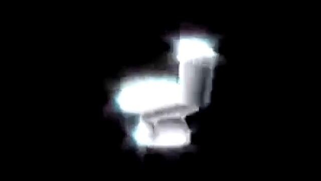Польский унитаз крутится