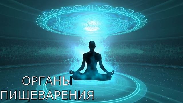 Органы пищеварения  Исцеляющая медитация