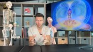 Что такое ОСТЕОПАТИЯ?