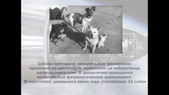 Запуск Спутника-2