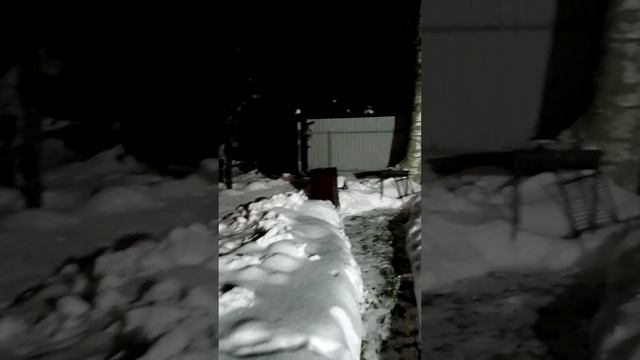 Новогодний вечер на даче