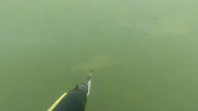 Подводная охота Хакасии! Pека Туба! Spearfishing Tuba River.