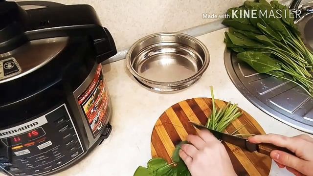 Зеленый борщ с щавлем.