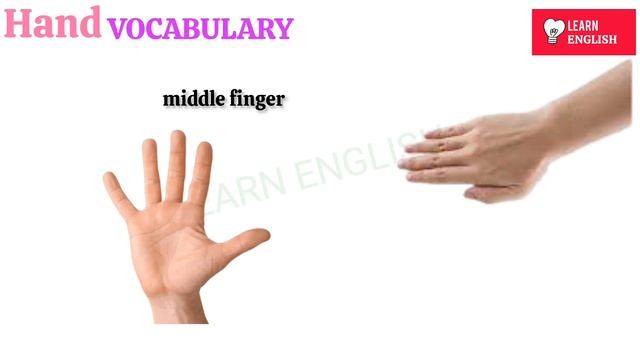 Parts of body in English | Human body parts vocabulary | English vocabulary @learnenglishdp