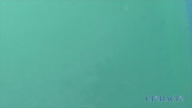 Ейск / Азовское море / Каньон с крокодилами / Осторожно, крокодилы на набережной