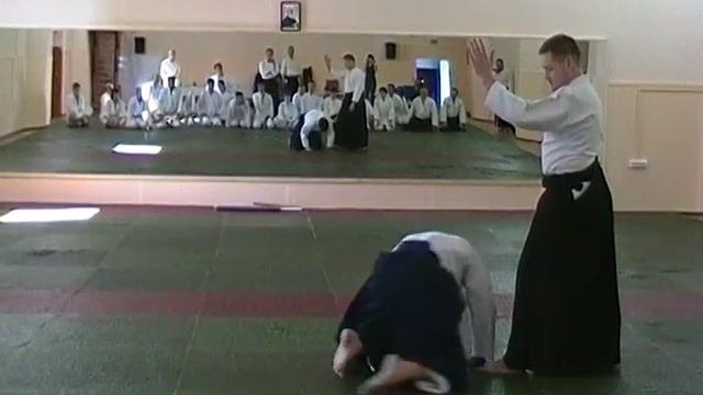 aiki nage sudori