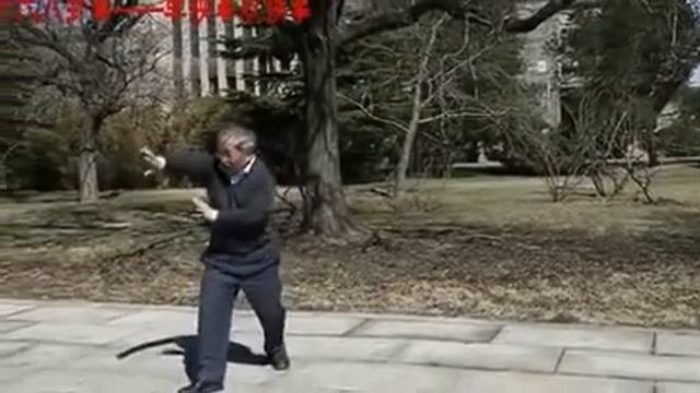 Сунь ши багуацюань 孙氏八卦拳 даньхуань чжан 单换掌 и шуанхуань чжан 双换掌.