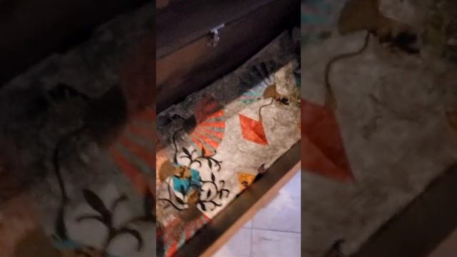 Про пэчворк, сундук и волшебную страну