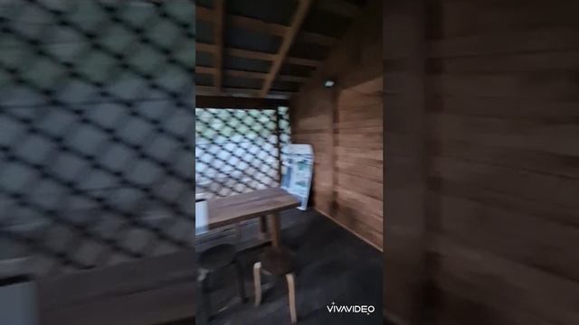 1000312874.mp4