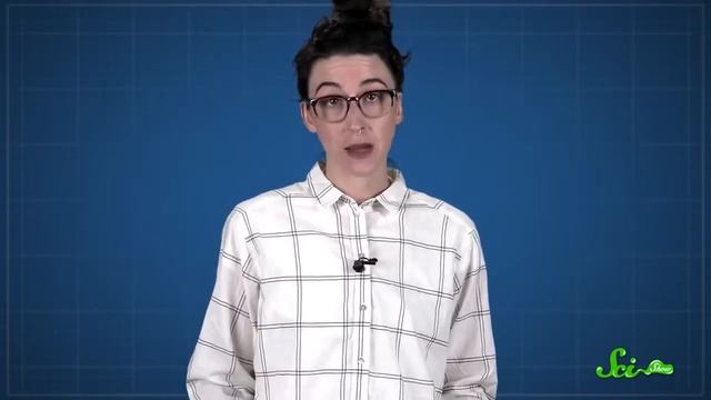 Мнемоника Можно ли взломать собственную память