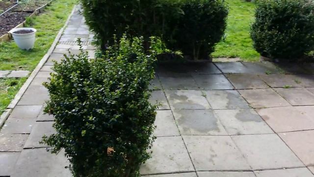 Работа на даче.