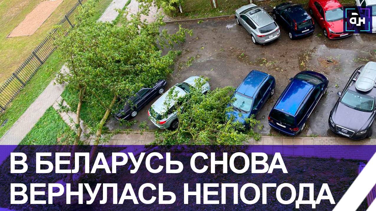 В Беларуси энергетики и экстренные службы борются с последствиями грозового фронта. Панорама