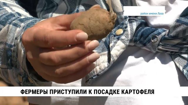 Фермеры Хабаровского каря приступили к посадке картофеля