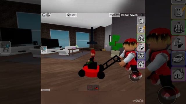Brook. Heaven Roblox