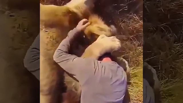 Обнимашки!