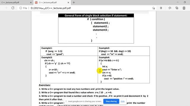 Programming I Lecture 13