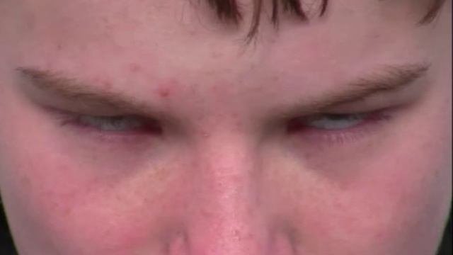 The Horny Penguins Trailer