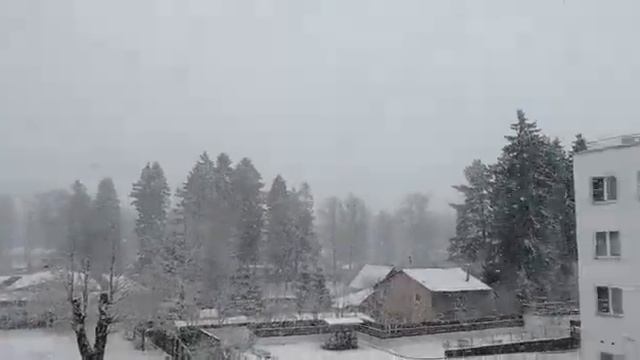 Сегодня у нас красивая снег идет