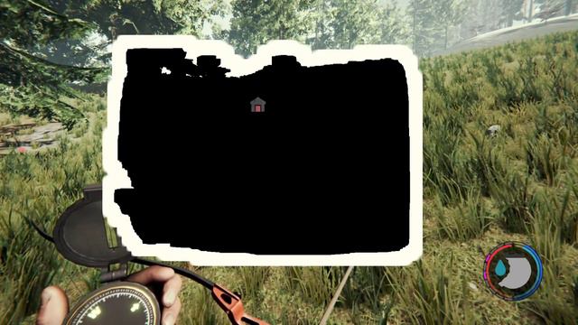 The Forest (PS4) black screen glitch
