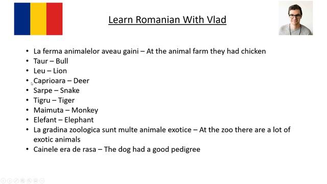 Romanian Phrases Lesson 14 Animals