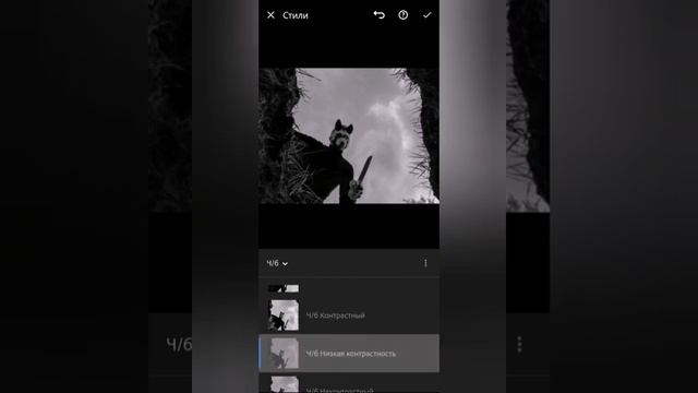 Фото с историей / Жанр: Триллер / обработка в Lightroom / фронтальная камера HONOR 9X