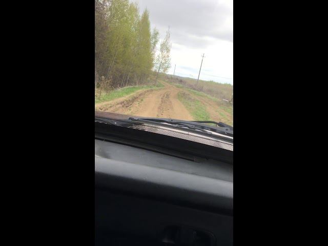 Занинка дорога 2019