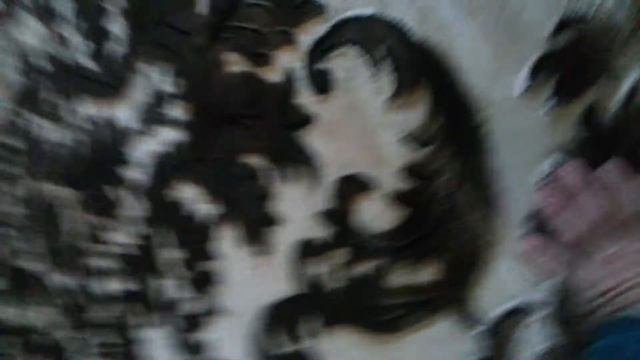 САМЫЙ ПОПУЛЯРНЫЙ