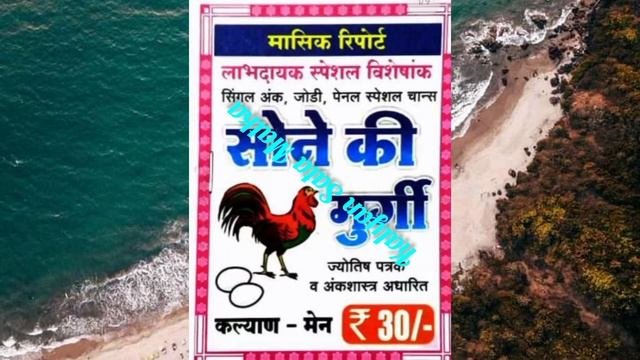 2 in 1 Sone ki Murgi - Satking 7 Chance Kalyan monthly books
