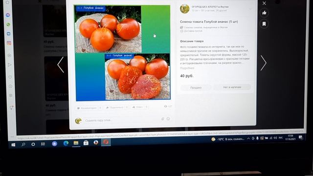 Томаты, которые покорили моё сердце в 2021 году. 2 часть