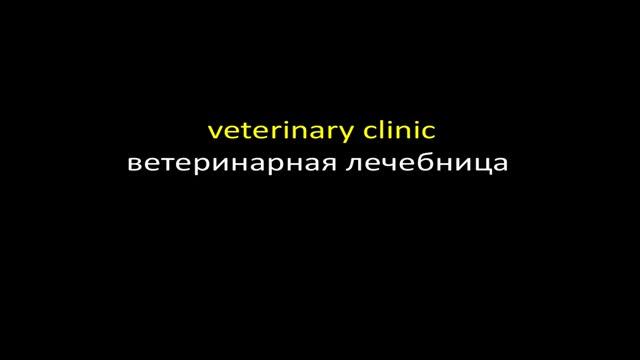 Popular Compound words English Russian 120 words - Part #5