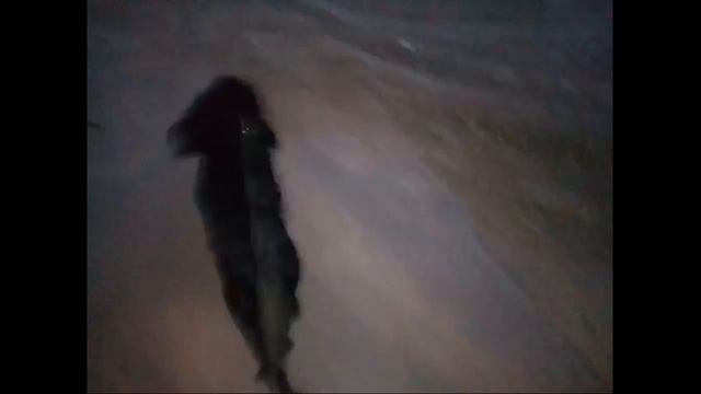 Гуляю, прогулка