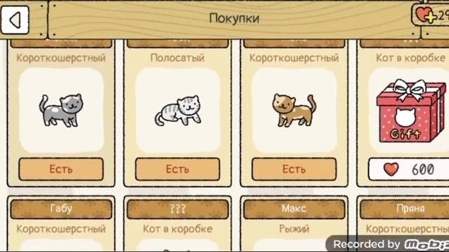 открываю всех кошек в Adorable home?