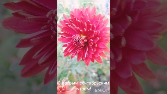 С добрым сентябрьским утром! Прекрасного денечка!