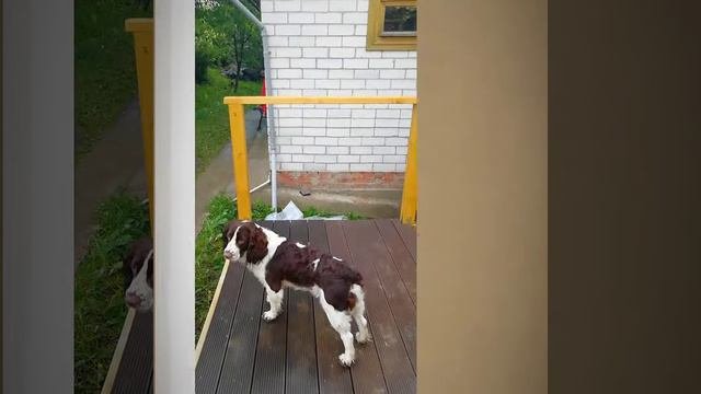 Строим беседку с террасой.