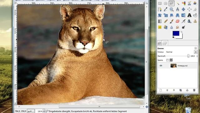 Erste Schritte mit GIMP Teil 1 - Hintergrund ändern
