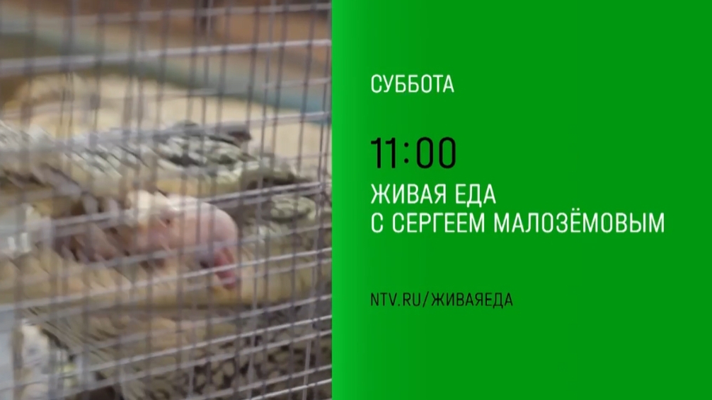 Анонс,Живая еда, суббота в 11:00 на НТВ, 2024