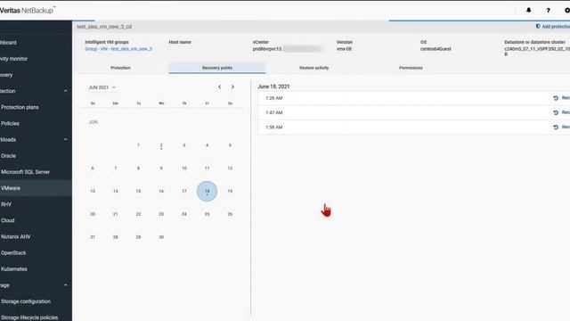 NetBackup Instant Rollback for VMware