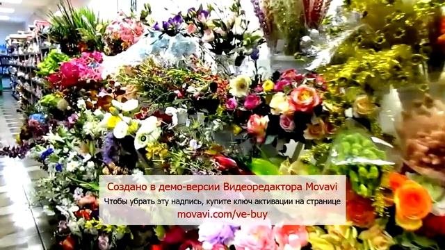 Микрос. Территория праздника в Брянске- магазин праздничных товаров. Август2015 г.