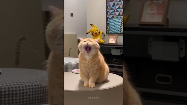 выходной .mp4