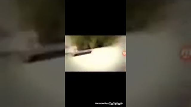 Паркур челендж в реальной жизни