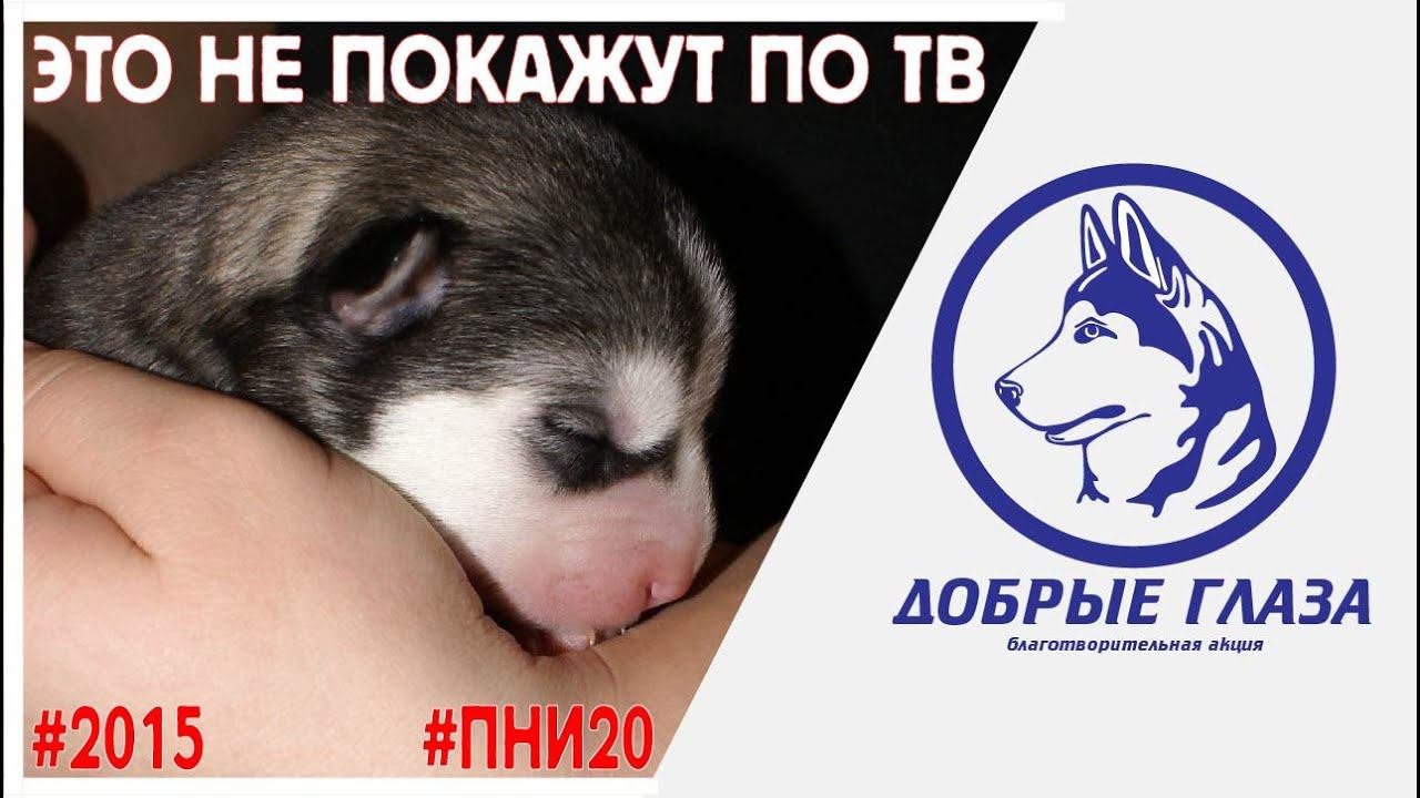 "Добрые Глаза" -  20 й интернат Москва