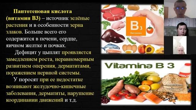 Анатомия и физиология животных  Обмен витаминов и антивитаминов