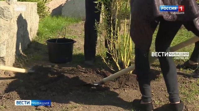 Садовод из Чувашии продолжает разбивать аллеи в честь гагаринского отряда космонавтов