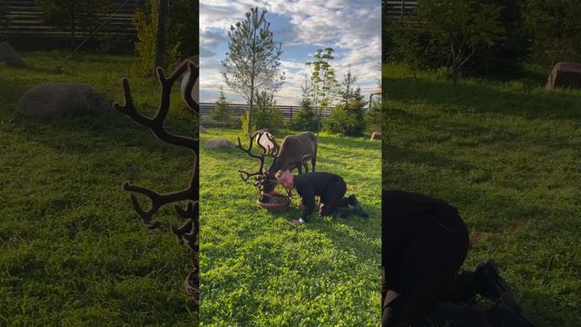 Ведущий Павел Буханов