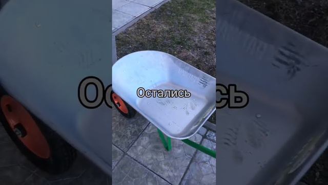 Субботник