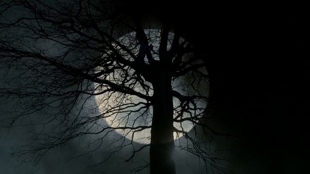 The Untold Story Of The Conjuring House - The Old Arnold Estate - Rhode Island